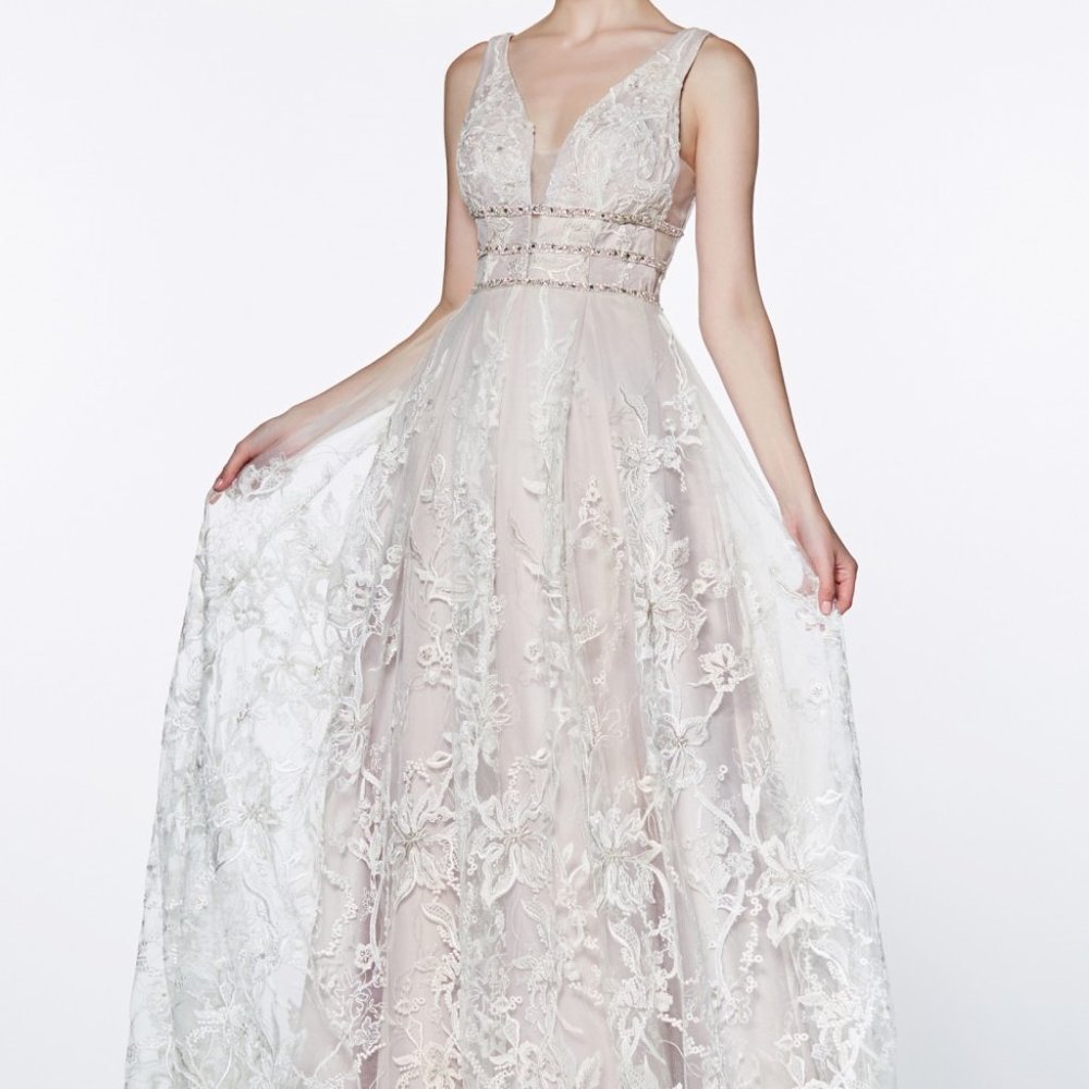 V-Neck A-Line Shape Evening Dress CDCR823 - Picture 1 of 5